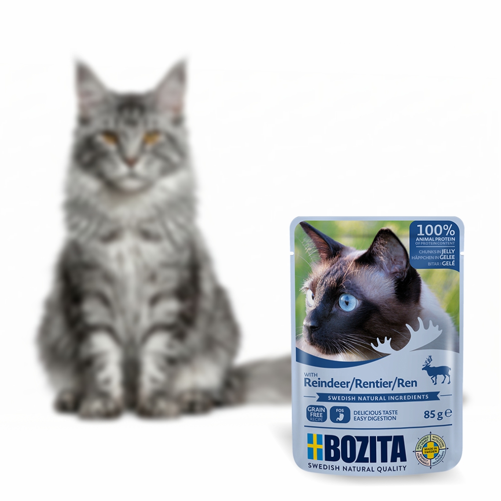 BOZITA karma dla kota w galarecie z reniferem 85g